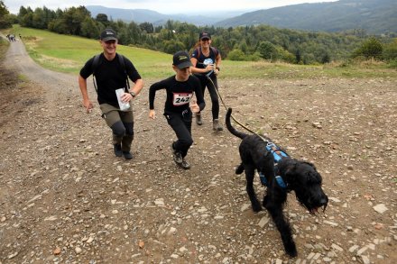 Zawodnicy na trasie biegu